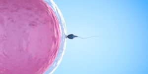 What is the success rate of IVF treatment?