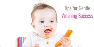 Tips for Gentle Weaning Success