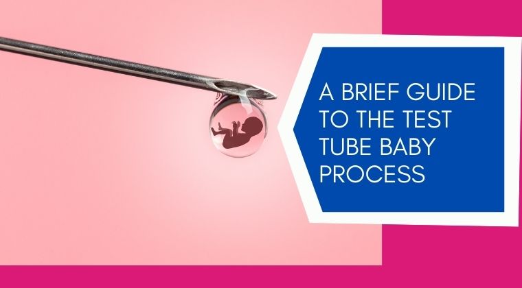 A brief guide to the test tube baby process (1)