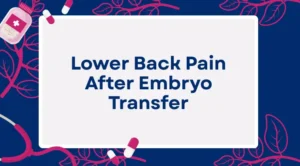 Lower Back Pain After Embryo Transfer What It Really Means- featured image