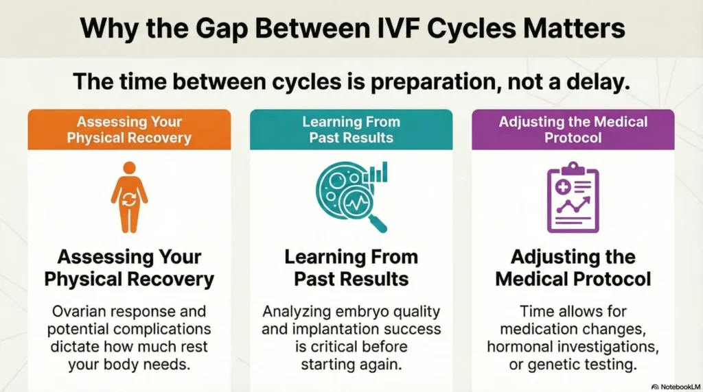 Infographic on why the gap between IVF cycles matters: assessing physical recovery, learning from past results and adjusting the medical protocol